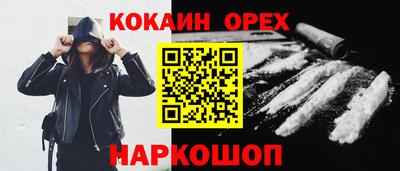 гашик Можга