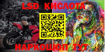 гашик Можга