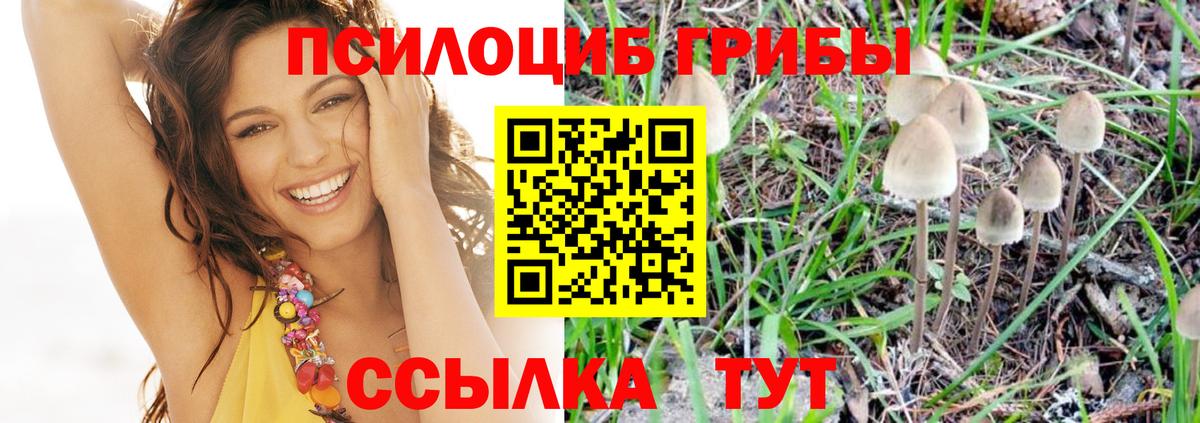 Галлюциногенные грибы ЛСД  Вход с VPN  Ульяновск 